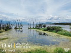 -野菌皇海景野生菌火锅(滨海大道店)
