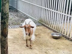 -洪湖家庭农场·团建·露营·会议