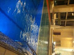 -上海浦东康桥绿地假日酒店