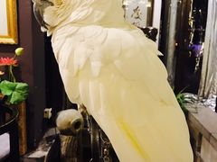 -大唐名家·息壤店