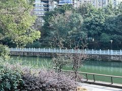 -望江楼公园