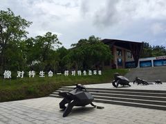 -广东惠东海龟国家级自然保护区