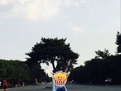 -北陵公园