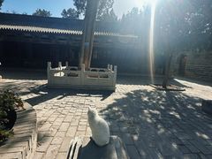 -窦大夫祠