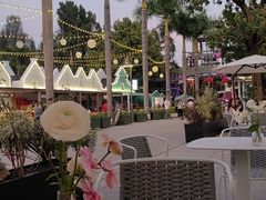 -花神·轻食简餐·咖啡馆·花卉绿植(荷兰花卉小镇店)