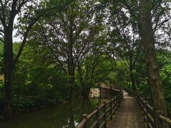 -木兰云雾山