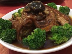 -大树下海鲜饭店
