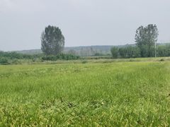 -林间山庄