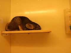 -龙猫仔乐园(惠福东路店)