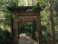 -凤栖山