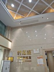 -碧莲盛·不剃发植发