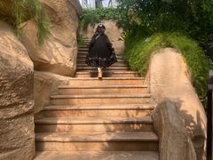 -南山植物园
