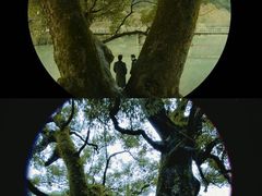 -上坦村