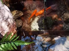 -鹤祥宫·影院足道·SPA连锁(苹果园店)