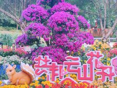 -广州市白云山风景名胜区