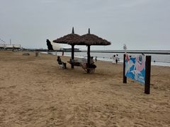 -碧海金沙