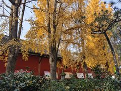 -宝光寺