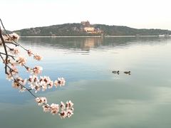 -颐和园