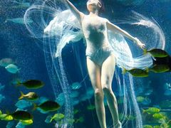 -海合安武汉极地海洋公园