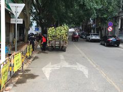 -吉英盐焗鸡(文中路店)
