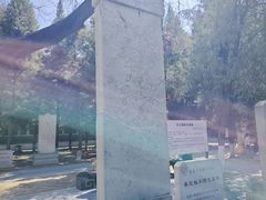 -赵州桥景区