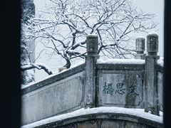 -红梅公园