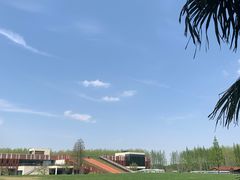 -黄海国家森林公园