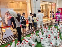 -杉杉奥特莱斯广场(哈尔滨店)