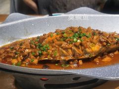 -不倒翁·安徽名菜楼(步行街店)
