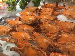 -南海温德姆花园酒店-康达屋Rendez Vous Buffet