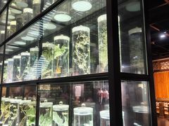 -广东中医药博物馆