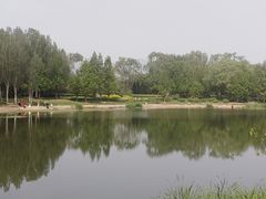 -北坞公园