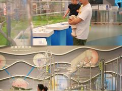 -佛山科学馆