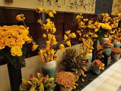 -北京四季酒店·采逸轩