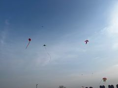 -汉长安城未央宫国家考古遗址公园