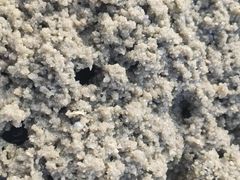 -北海金海湾红树林生态旅游区