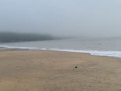 -普陀山风景名胜区-千步大沙