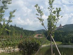-龙口南山旅游景区