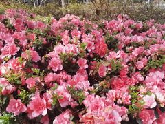 -徐记私厨(半淞园路店)