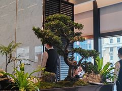-谭厨中山传家菜.乳鸽.脆鲩鱼(华强北中航城店)