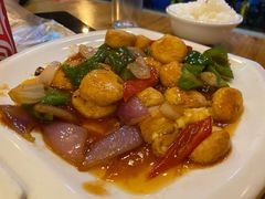 日本豆腐-鹤乡东北菜(崮山路店)
