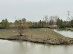 -溱湖国家湿地公园