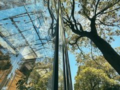 -上海鲜花港