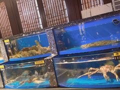 水产区-映像威海·海鲜味道(市区店)