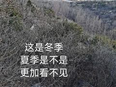 -白水寺森林公园
