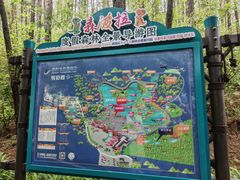 -森波拉奇妙世界