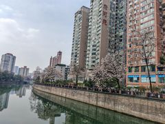 -成都市活水公园