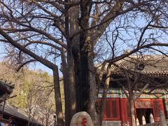 -红螺寺