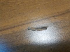 鸭血粉丝汤-金原鸭血粉丝汤·汤包·脆皮烤鸭(南京博物院店)