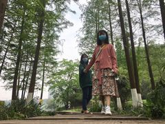 -重庆彩云湖湿地公园
